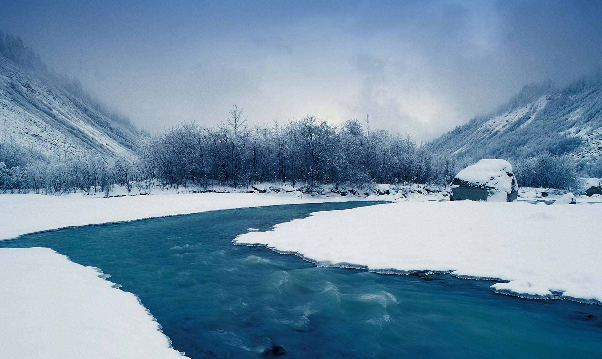 技术优势